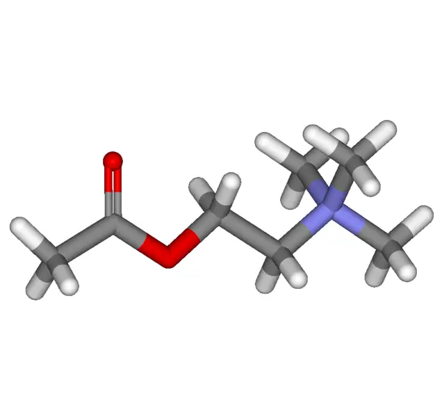 File:ACh-stick.png