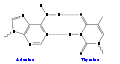 Thumbnail for version as of 06:15, 22 December 2007