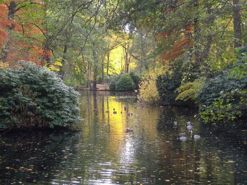 File:Berlin Tiergarten4.jpg