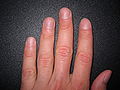 Thumbnail for version as of 00:22, 22 November 2007