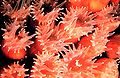 Thumbnail for version as of 12:25, 5 July 2006