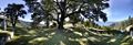 Thumbnail for version as of 06:01, 8 May 2008