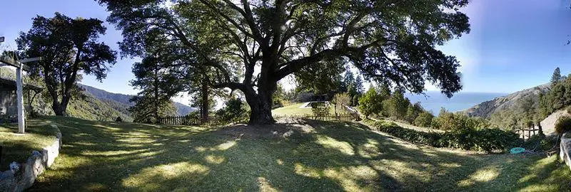 File:Partington Ridge panorama.jpg
