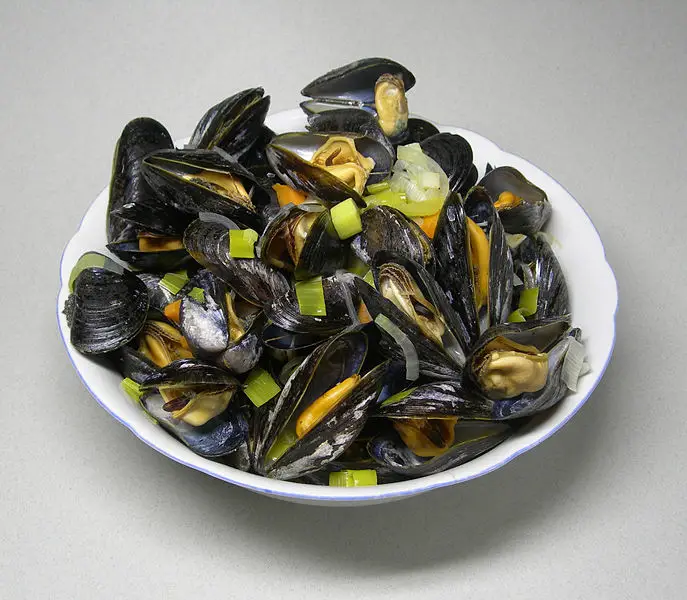 File:Rheinische Muscheln.jpg