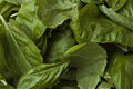 Thumbnail for version as of 00:13, 5 April 2008