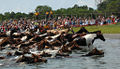 Thumbnail for version as of 04:09, 17 February 2009