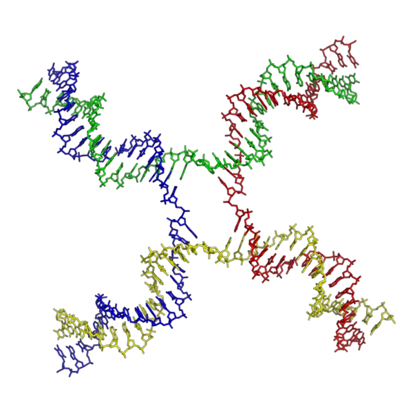 File:Holliday junction coloured.png