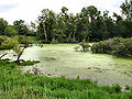 Thumbnail for version as of 20:48, 18 May 2007