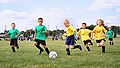 Thumbnail for version as of 22:43, 31 May 2006