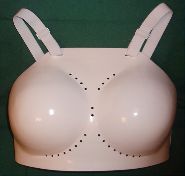 File:Chest protector.jpg