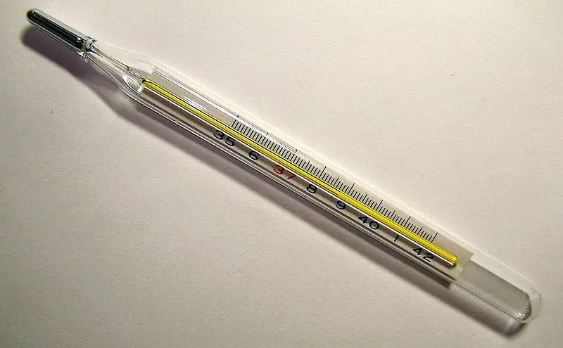 File:Clinical thermometer 38.7.JPG