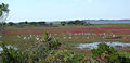 Thumbnail for version as of 21:07, 5 December 2008