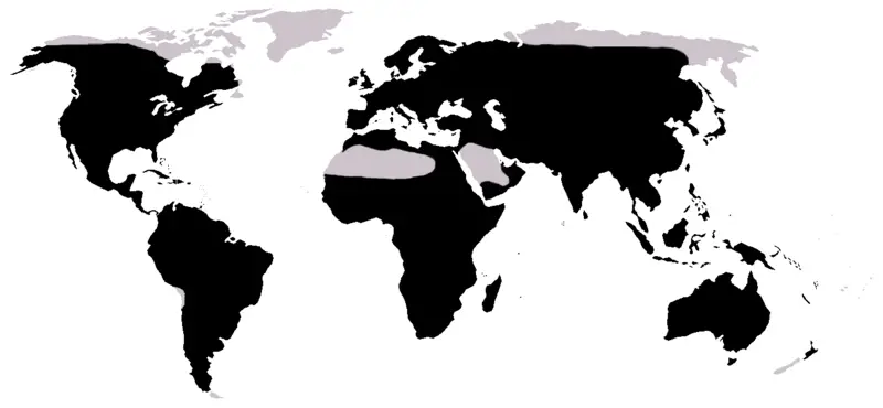 File:Frog distribution.png
