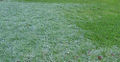 Thumbnail for version as of 15:14, 15 August 2007