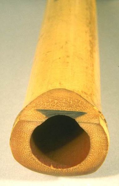 File:JapaneseShakuhachiSection.jpg