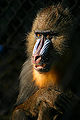 Thumbnail for version as of 23:38, 19 June 2008
