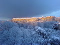 Thumbnail for version as of 19:19, 4 December 2007