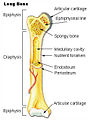 Thumbnail for version as of 10:41, 1 July 2006