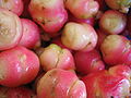 Thumbnail for version as of 23:03, 7 October 2008
