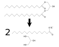 Thumbnail for version as of 18:15, 19 September 2007