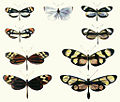 Thumbnail for version as of 15:35, 22 December 2007