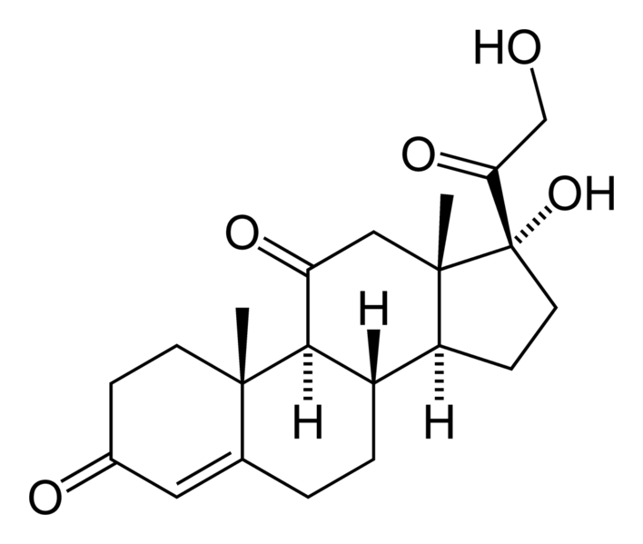 File:Cortisone-2D-skeletal.png