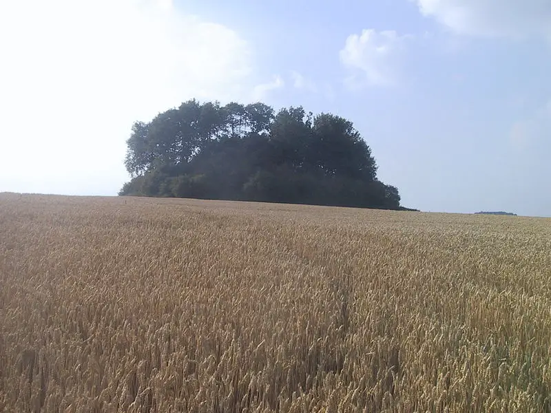 File:Tumulus othee belgium.JPG