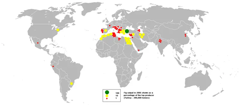 File:2005fig.PNG