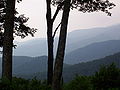 Thumbnail for version as of 08:03, 13 March 2008