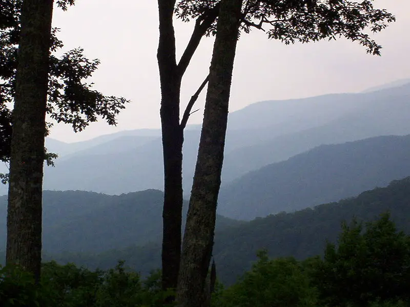File:Gsm100 1547.jpg