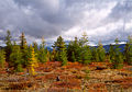 Thumbnail for version as of 22:20, 20 August 2007