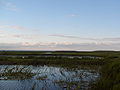 Thumbnail for version as of 23:06, 27 May 2007