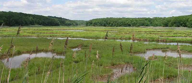 File:Bride-Brook-Salt-Marsh-s.jpg
