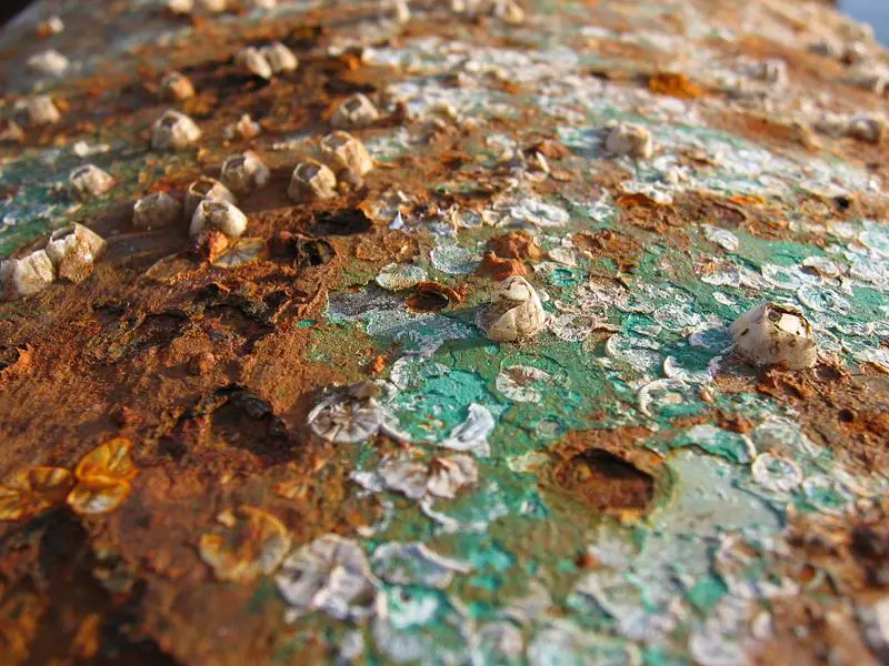 File:Corrosion.jpg