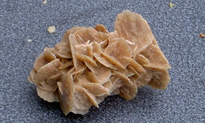 File:Desert-rose-big.jpg