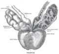 Thumbnail for version as of 14:36, 20 November 2008