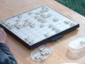 Shogi Rules – Shogi, 将棋, and Japanese Chess