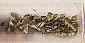 Thumbnail for version as of 00:36, 7 February 2007