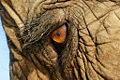 Thumbnail for version as of 17:42, 26 January 2009