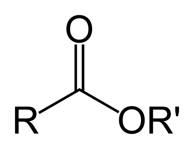 File:Ester-skeletal.png