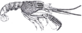 Thumbnail for version as of 18:22, 25 November 2006