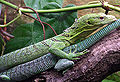 Thumbnail for version as of 01:19, 11 August 2007