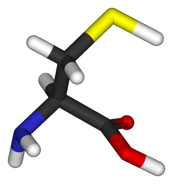 File:L-cysteine-3D-sticks.png