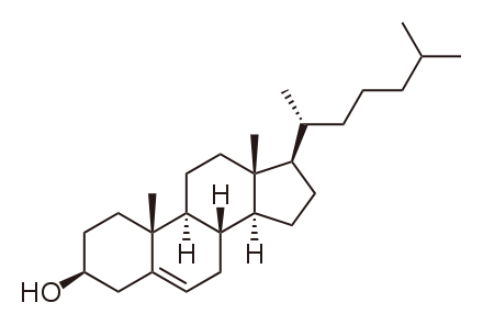 File:Cholesterol.svg
