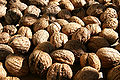 Thumbnail for version as of 01:49, 22 September 2007