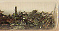 Thumbnail for version as of 16:50, 14 December 2006