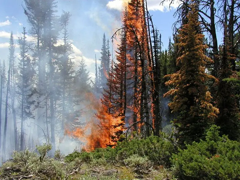 File:Yellowstonefire.jpg