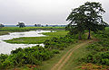 Thumbnail for version as of 01:22, 16 October 2007