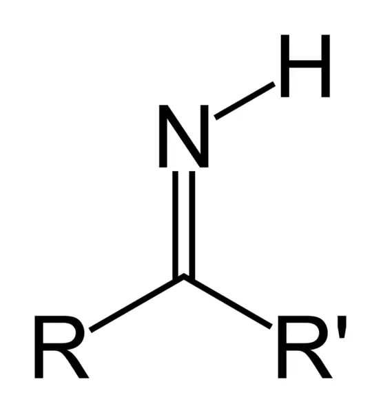 File:Imine-(primary)-skeletal.png