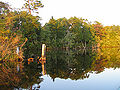 Thumbnail for version as of 06:09, 5 October 2008